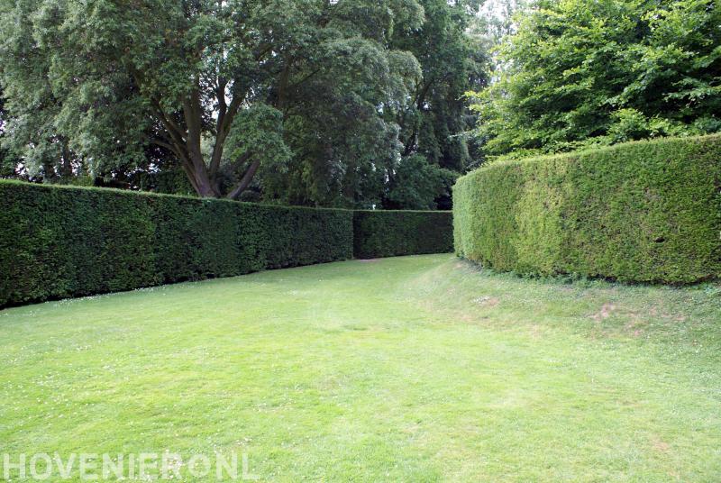 Mastenbroek Tuinwerken