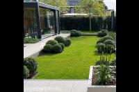 tuinontwerp Nijmegen Het Buitenland Plunge 1