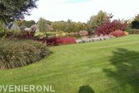 Borders met siergrassen tussen vijver en gazon 2