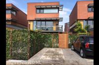 Hedera schutting met tuinpoort