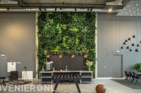 Interieurbeplanting met groene wand