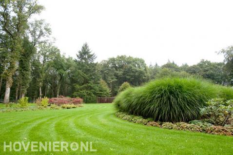 Landelijke tuin met groot gazon, buxushagen, hortensia's en siergras 2