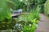 Houten vlonder rondom natuurlijke vijver