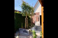 Leibomen in plantenbak van stapelblokken