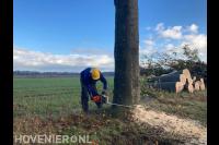 Konijnenberg Bos en Groen