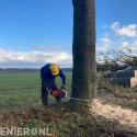Konijnenberg Bos en Groen