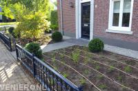 Voortuin aanleggen met sierhekwerk, nieuwe planten en beregening