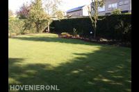 Gazon aanleggen met graszoden