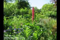 TuinKracht Hoveniers