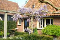 Houten pergola met blauwe regen