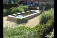 Strakke voortuin met vijver en veel groen