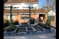 Moderne voortuin met plantenbakken en leibomen