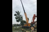 Toppunt Boomverzorging & Boomrooierij