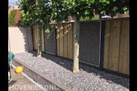 Afscheiding van leibomen voor houten schutting met schanskorf panelen