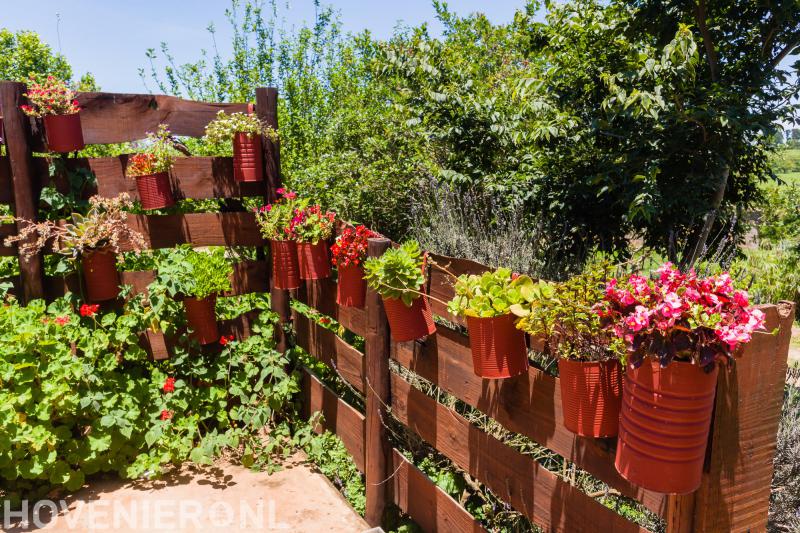 Erica Hoveniers b.v.