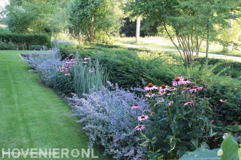 Border met kleurrijke beplanting