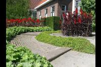Tuin met veel groen en bloemen