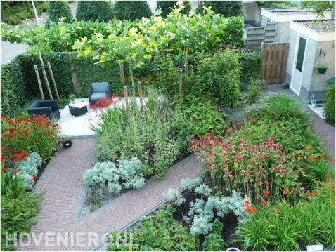 Groene achtertuin met zithoek, dakplatanen en kleurrijke beplanting