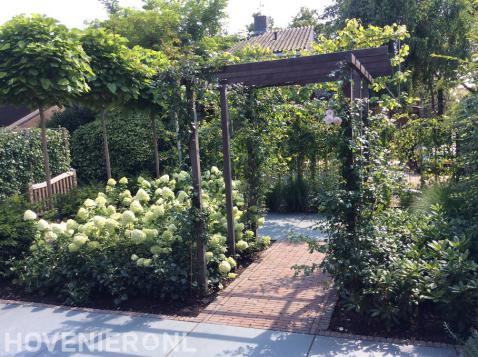 Groene tuin met houten pergola, hortensia's en trompetbomen