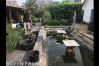 Vijveronderhoud 2
