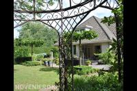 Groene tuin met dakplatanen bij villa