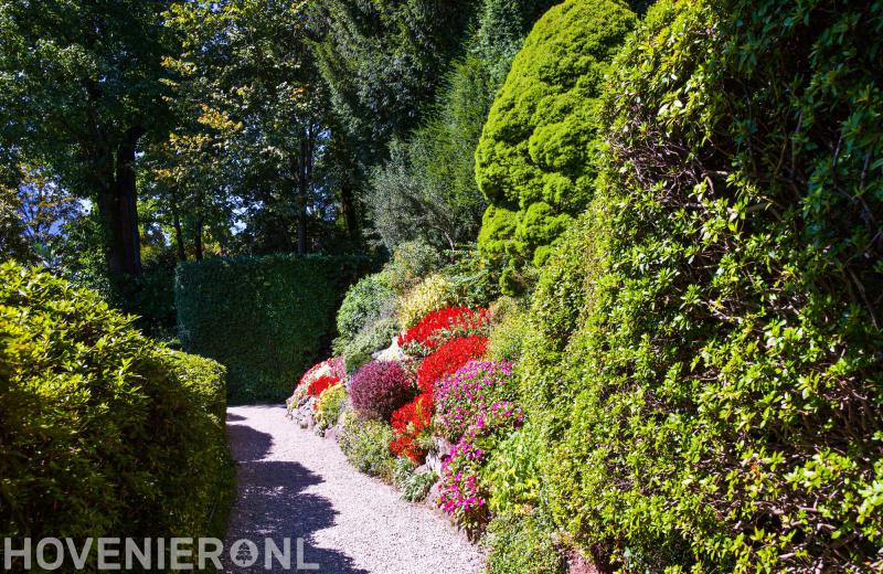 Hoveniersbedrijf Nymphaea