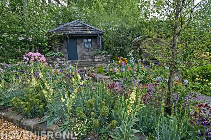 Pallino Groenservice