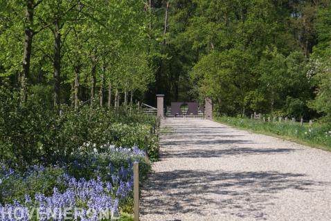 Bomen en beplanting langs lange oprit van grind