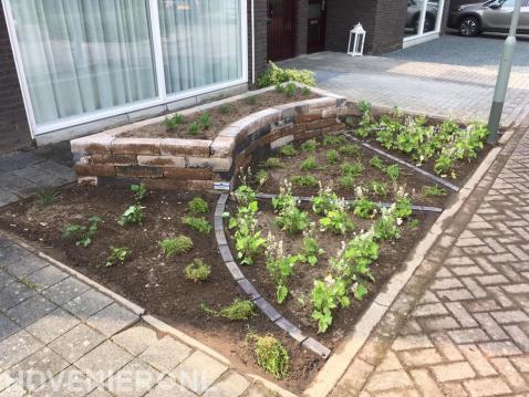 Kleine voortuin met plantenbak en nieuwe beplanting