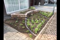 Kleine voortuin met plantenbak en nieuwe beplanting