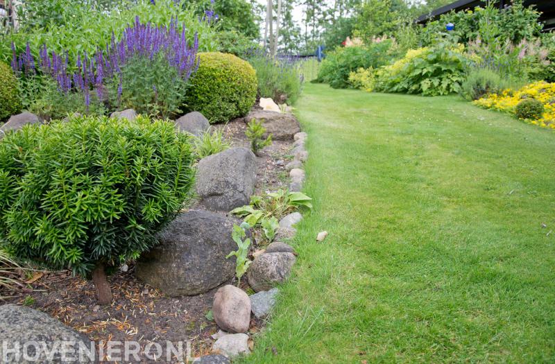 Dynamiek Hoveniersbedrijf