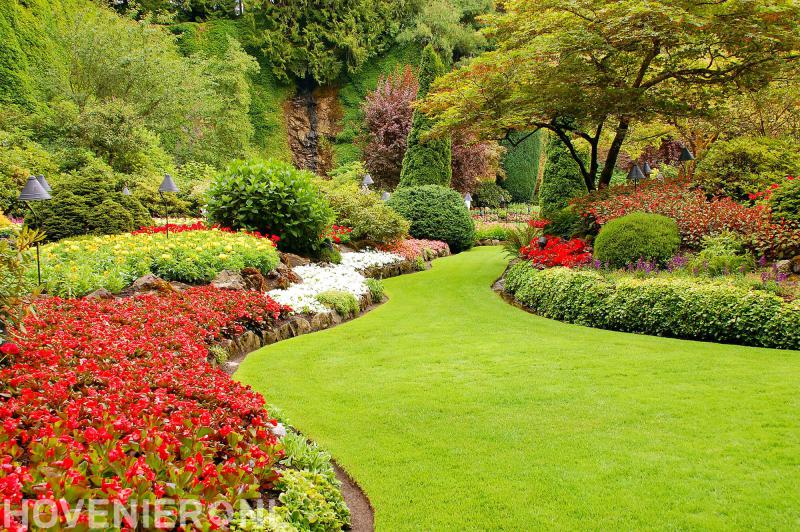 Tuinonderhoud Quirijn Broos