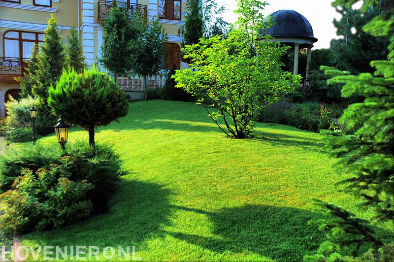 Vivus Groenvormgeving