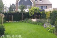 Groene tuin met gazon en leibomen