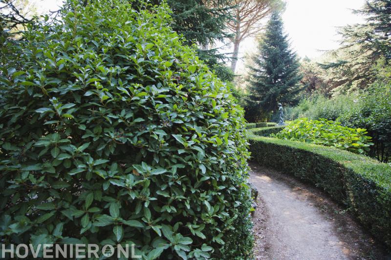 Spelt Aanleg Van Tuinen en Grondwerkzaamheden