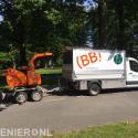 (BB) Bomen