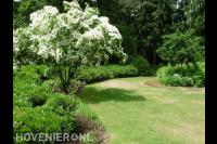 Hoveniersbedrijf Hans Verstraaten