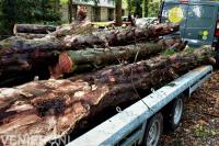 Transport Boomverzorging