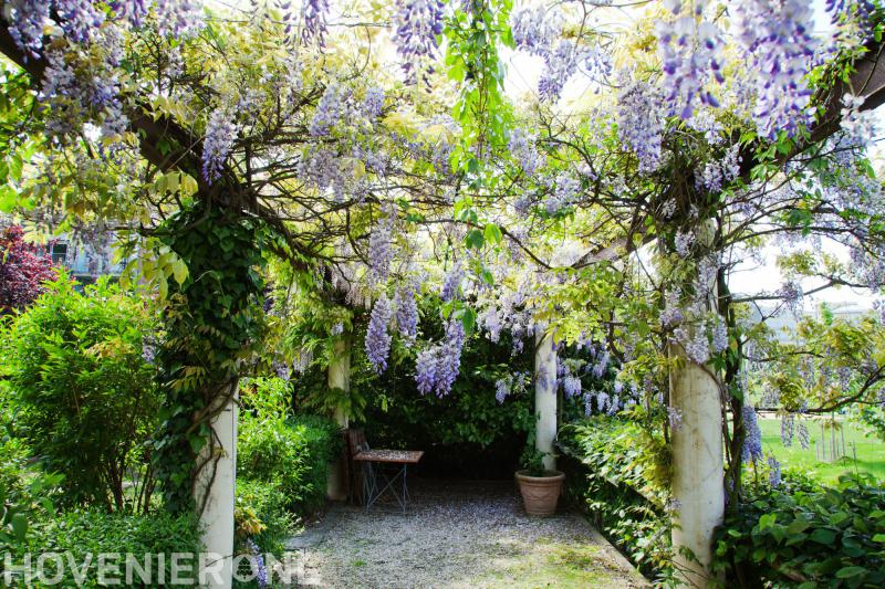 Hoveniersbedrijf J.C.M. Meeuwis