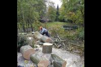 Boom in stukken zagen