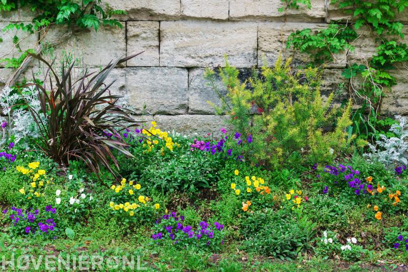 Floor van der Stelt Tuinverzorging