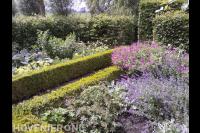 Kleurrijke borders omgeven door buxushagen