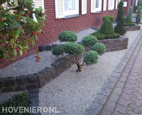 Onderhoudsarme tuin met bonsai boompje en buxus