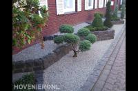 Onderhoudsarme tuin met bonsai boompje en buxus