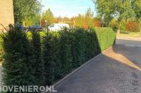 De Haan Boomzorg & Tuinen B.V.