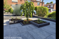 "Strakke verhoogde plantenborder als blikvanger in de tuin"