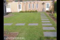 Achtertuin met stapstenen in gazon en houten pergola