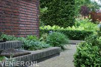 Tuinonderhoud 1