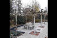 Terras met picknicktafel en dakplatanen