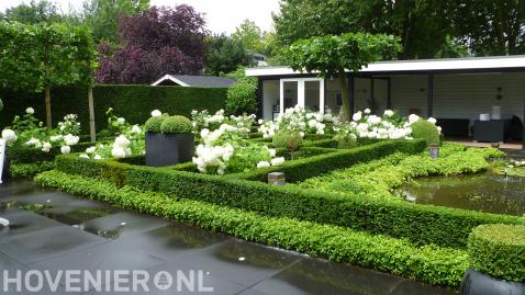 Romantische en klassieke tuin met buxus en witte hortensia's 2